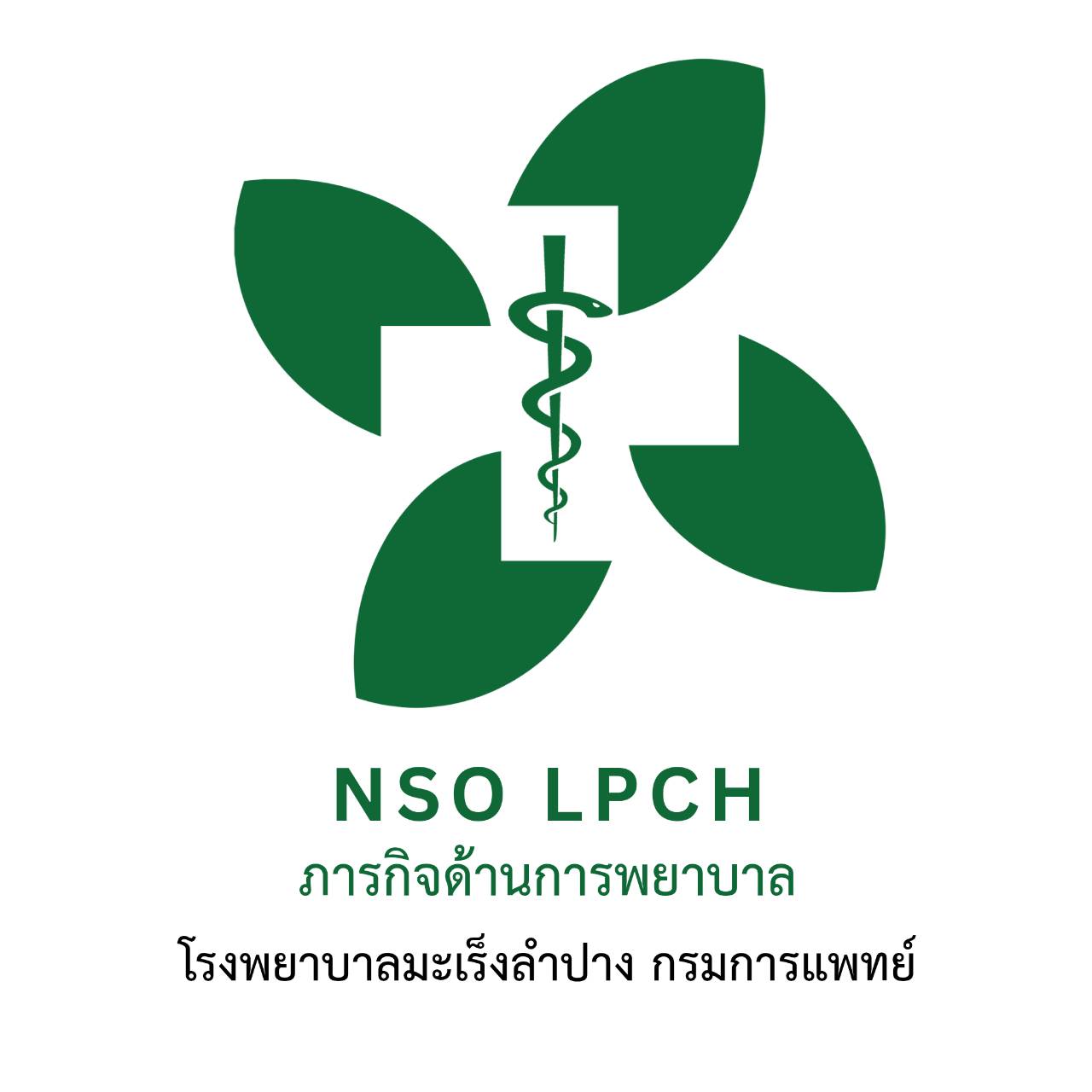 โลโก้ NSO LPCH