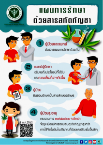 แผนการรักษาด้วยสารสกัดกัญชา