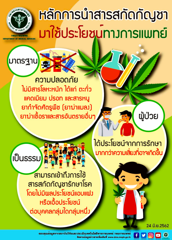 หลักการนำสารสกัดกัญชา มาใช้ประโยขน์ทางการแพทย์