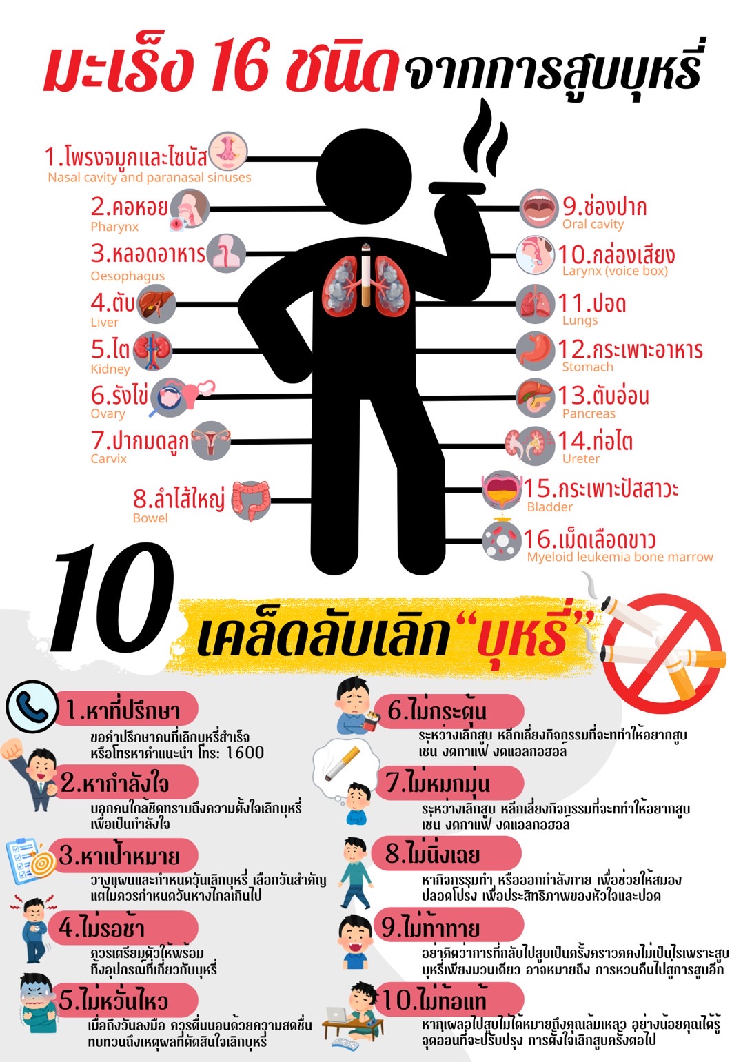 ภาพประกอบ